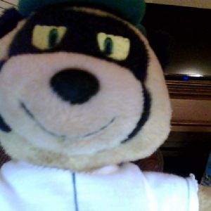 Meet your Posher, Sam